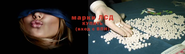 ГАЛЛЮЦИНОГЕННЫЕ ГРИБЫ Слюдянка