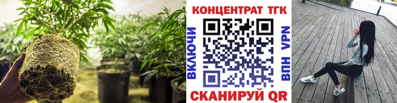 ТГК гашишное масло  ОМГ ОМГ   Выкса 