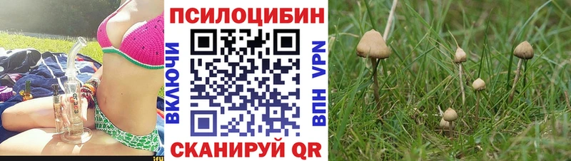 Галлюциногенные грибы Psilocybine cubensis  Выкса 